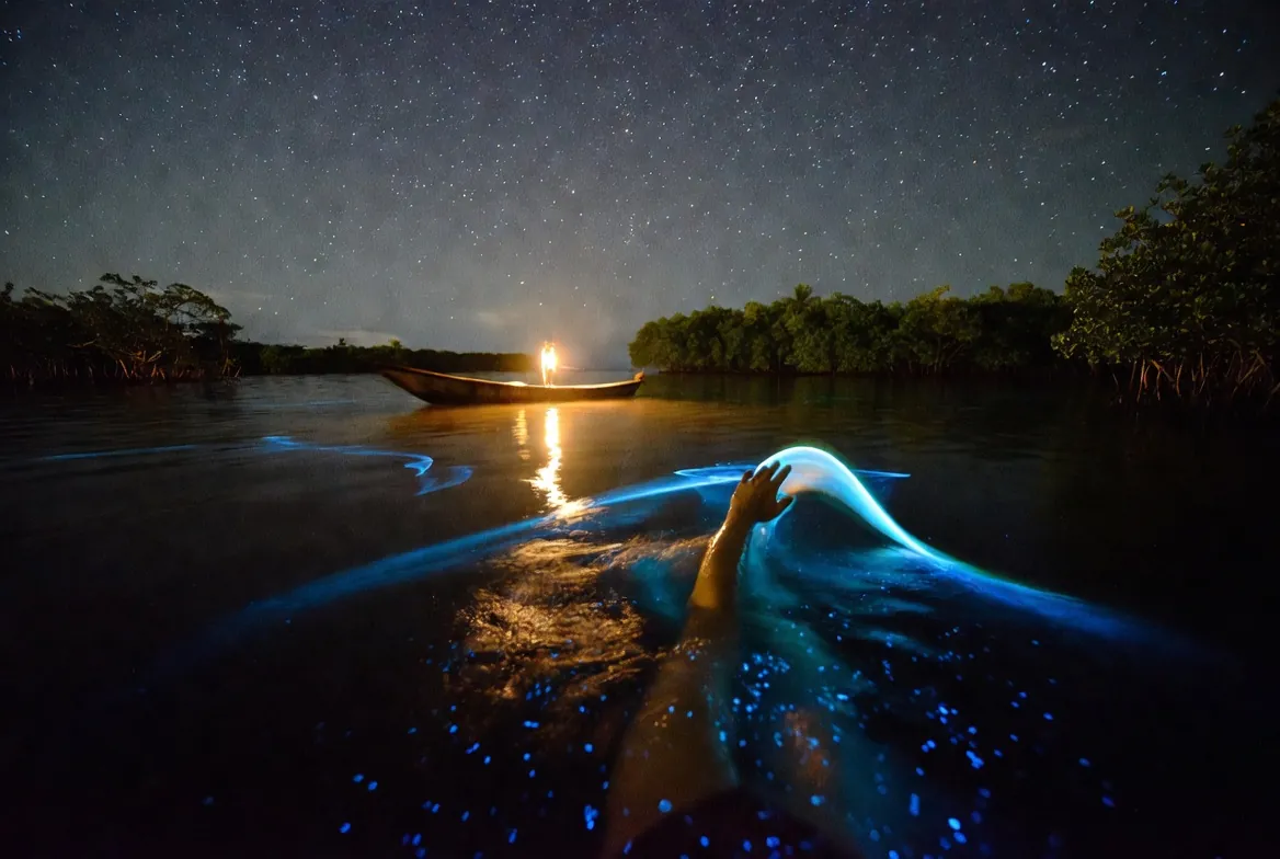 Bioluminescent plankton glowing electric blue around a swimmer in Manialtepec lagoon at night