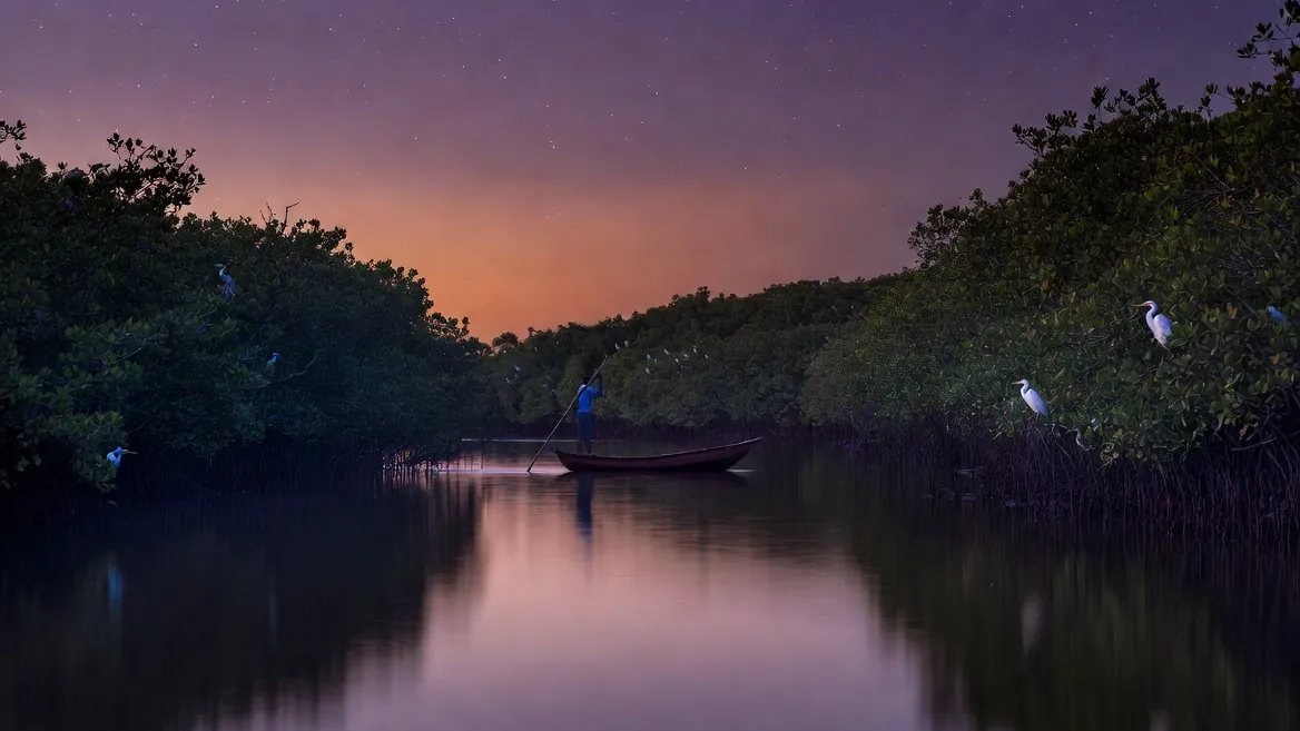 Manialtepec lagoon at dusk, mangroves reflected in still water before the bioluminescence appears