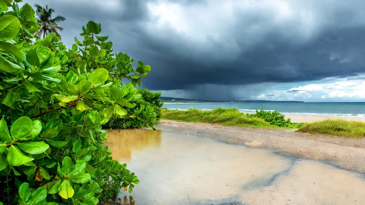 June's first rains rinse the coast green and empty the beaches