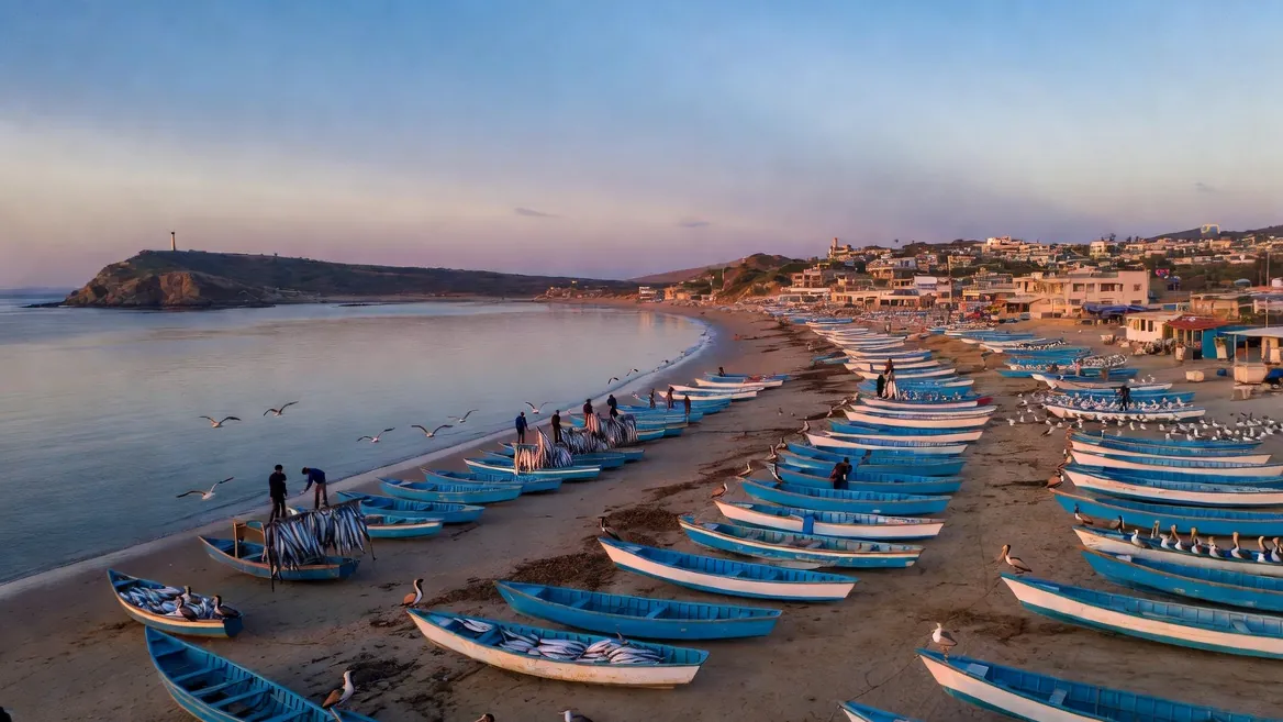 Panga fishing fleet lined up on Playa Principal at dawn as the catch comes in